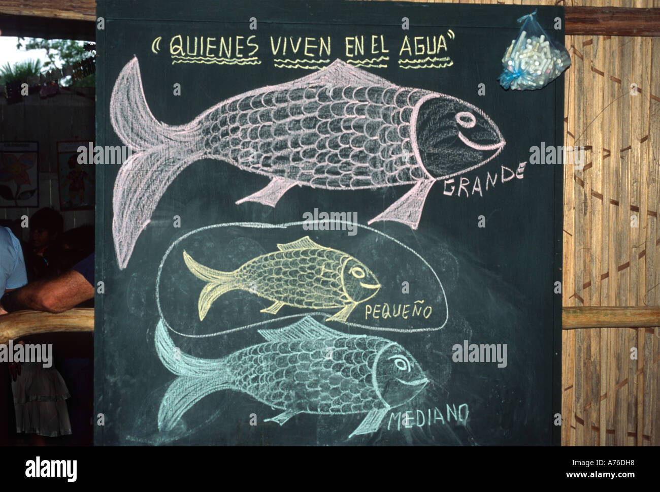 Tableau noir leçon avec des mots de vocabulaire espagnol pour les tailles de poissons, rural riverside scool, Amazonie péruvienne Banque D'Images