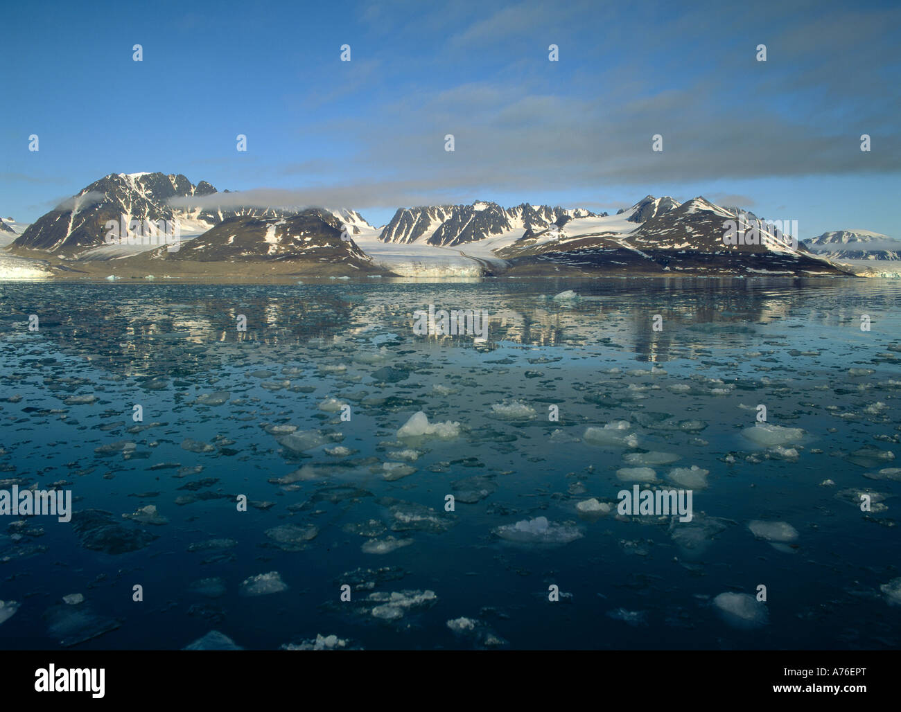 L'été arctique, Liefdefjorden, Spitsbergen, Svalbard, Norvège Banque D'Images