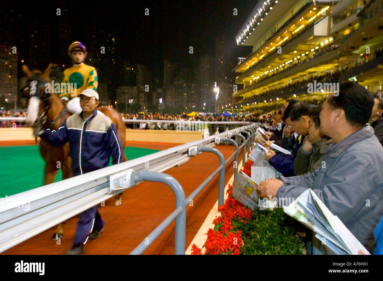 Cheval et jockey marche autour du paddock au début de la course avec les parieurs à la recherche sur. Banque D'Images