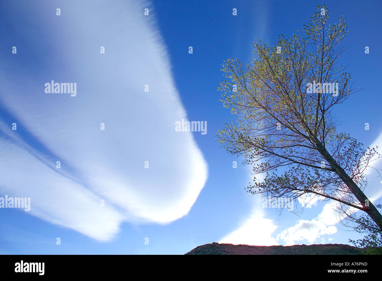Ciel du soir avec des formations nuageuses inhabituelles cirrostratus. Banque D'Images