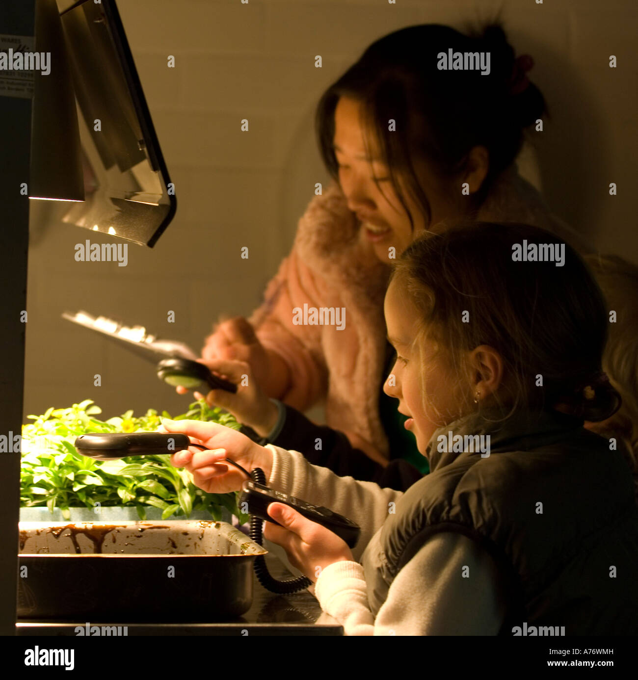 Professeur et élève de l'école primaire de faire une expérience scientifique à l'aide de petites plantes Banque D'Images