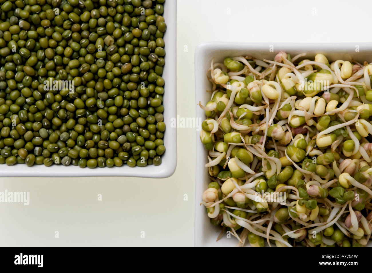 Les haricots mungo et haricots mungo dans bols carrés Banque D'Images