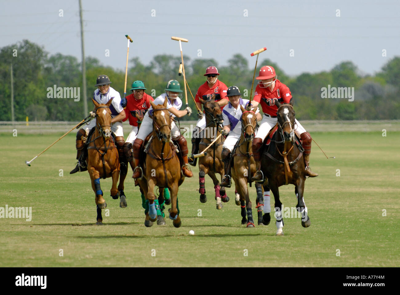 Polo match Sarasota Floride FL Banque D'Images