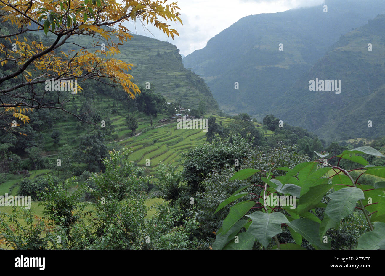 Paysage pittoresque Syange zone Népal Annapurna environs Banque D'Images