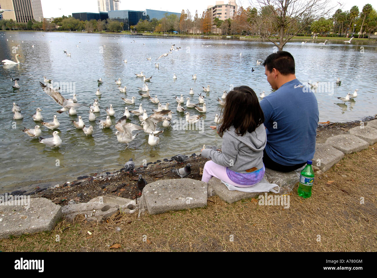 Nourrir les oiseaux à Eola Park Centre-ville d'Orlando en Floride US Banque D'Images