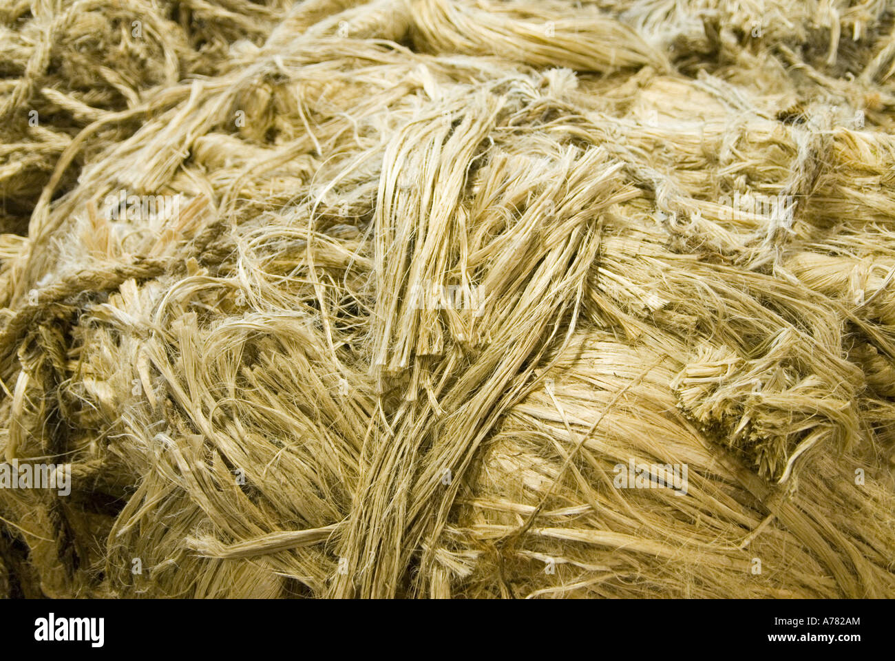 Kenaf fiber Banque de photographies et d’images à haute résolution - Alamy