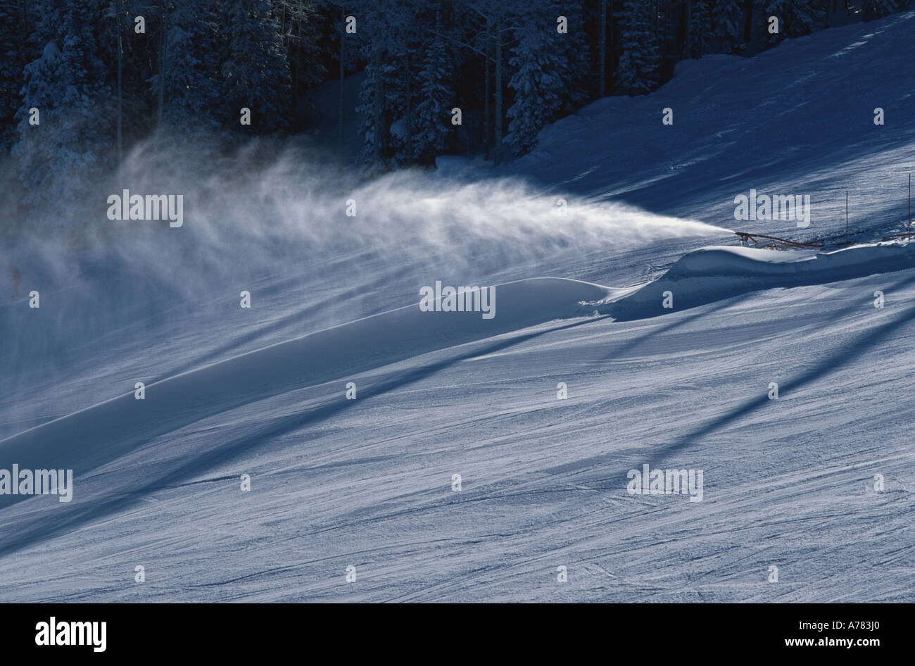 Canon à neige, Steamboat Springs, Colorado, États-Unis. Banque D'Images