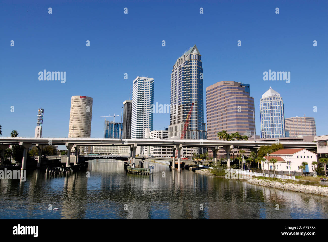 Quartier du centre-ville de la ville de Tampa en Floride FL Banque D'Images