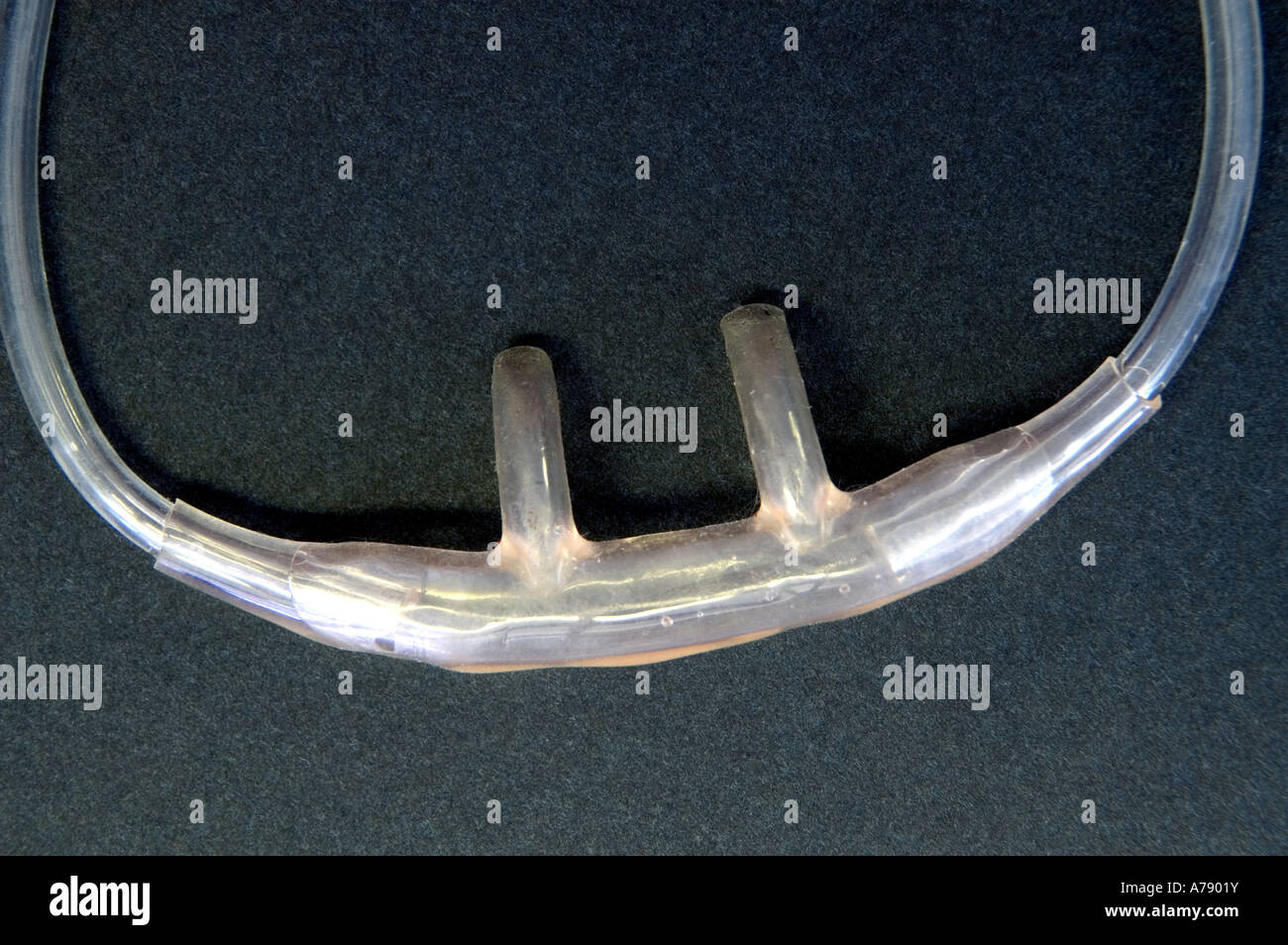 CANULE NASALE Banque D'Images