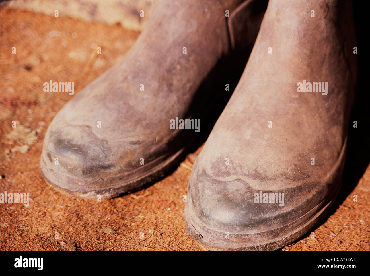 Deux pieds portant des bottes en caoutchouc sur le tapis de l'entrée de la chambre Banque D'Images