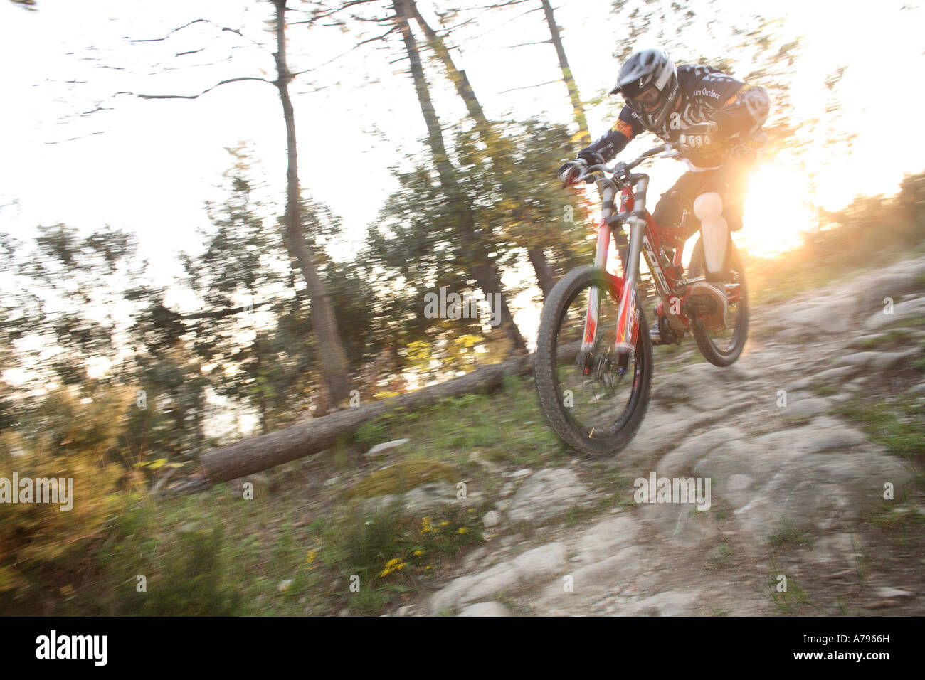Downhill Mountain Bike Rider au coucher du soleil Banque D'Images