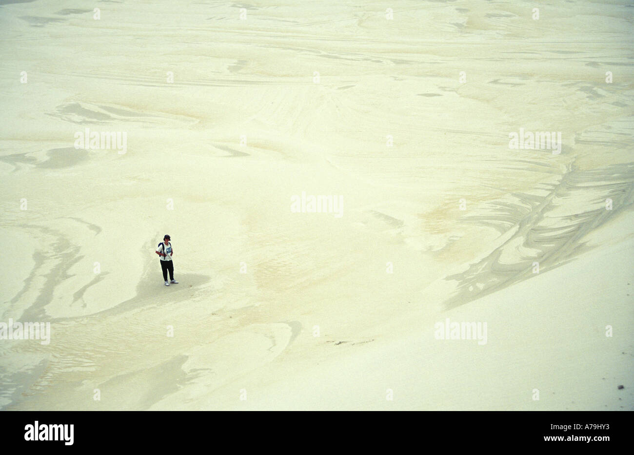 Randonneur parmi les dunes de sable Henty western Tasmanie Australie Pas MR Banque D'Images