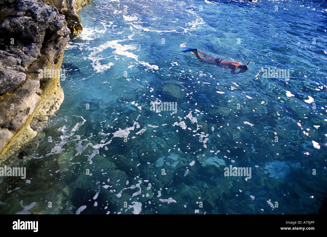 La plongée dans le surf dans les eaux claires de l'Adriatique rocky mer Istrie Croatie Mer Méditerranée Banque D'Images