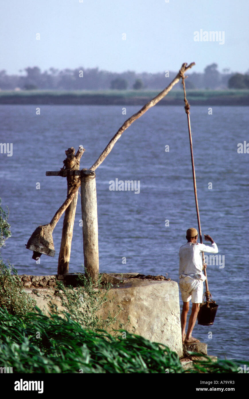 Egypte Nil à quelques kilomètres en amont du Caire. Fermier utilise l'ancienne shaduf de hisser l'eau de la rivière. Banque D'Images