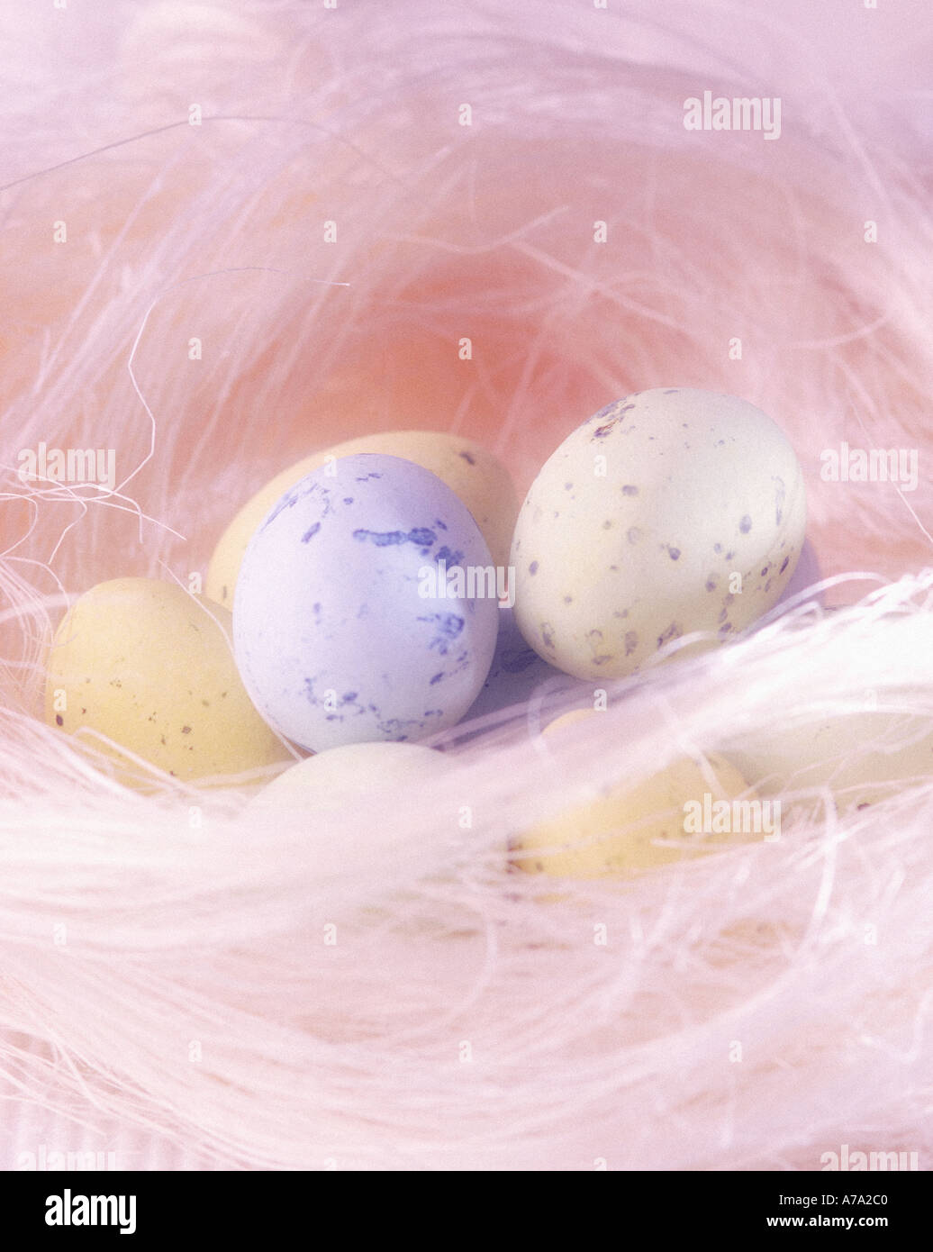 Candy eggs dans entourée de plumes Banque D'Images