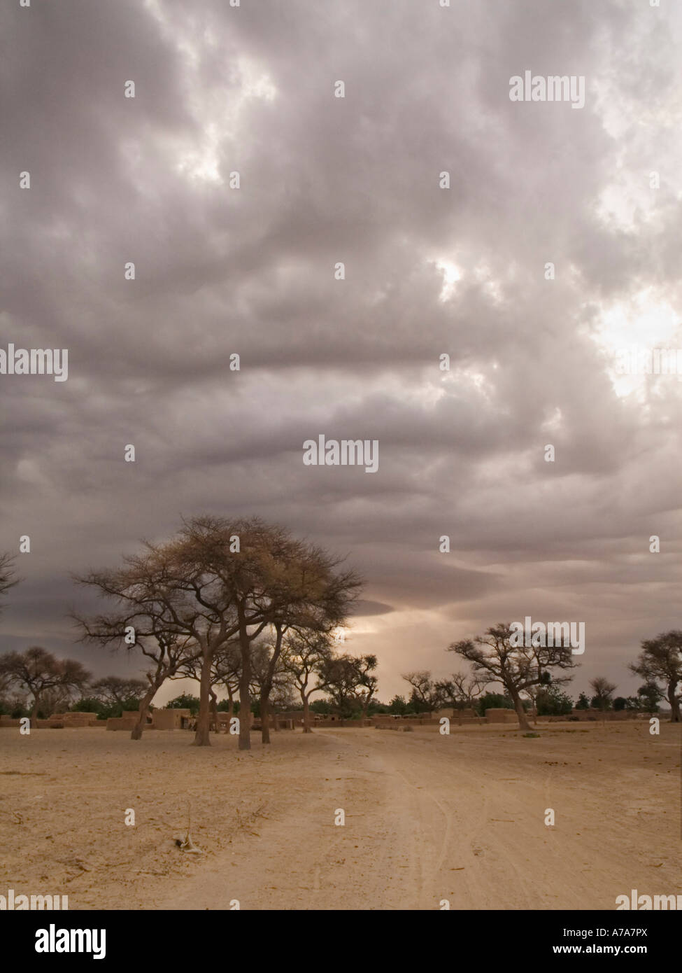 L'approche d'un petit village près de Niamina sur la rive nord du fleuve Niger, Mali, Afrique de l'Ouest. Banque D'Images