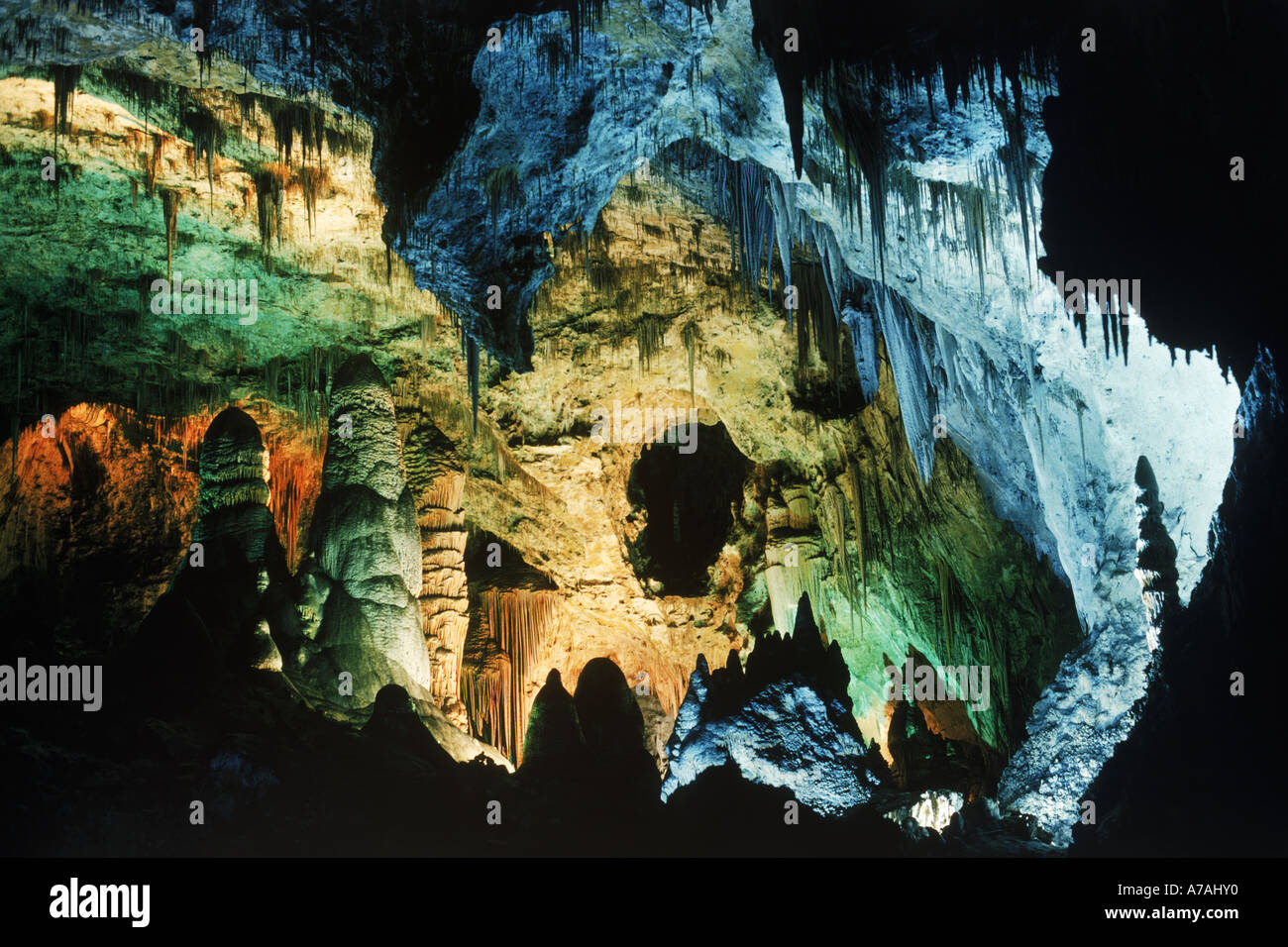 Carlsbad Caverns National Park à New Mexico USA Banque D'Images