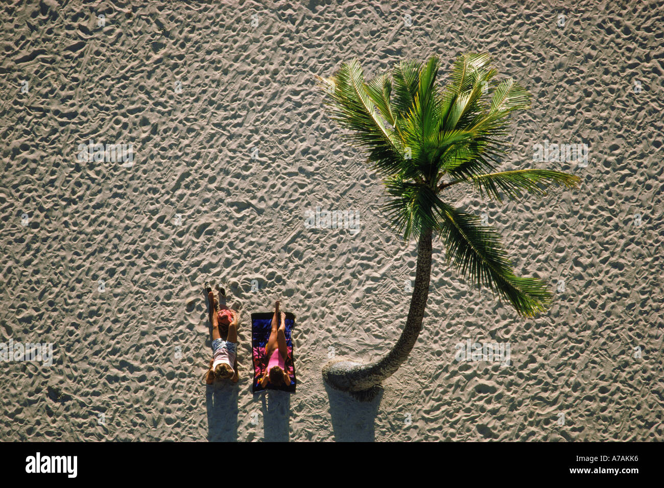 Couple sitting on beach à Hawaii sous les palmier Banque D'Images