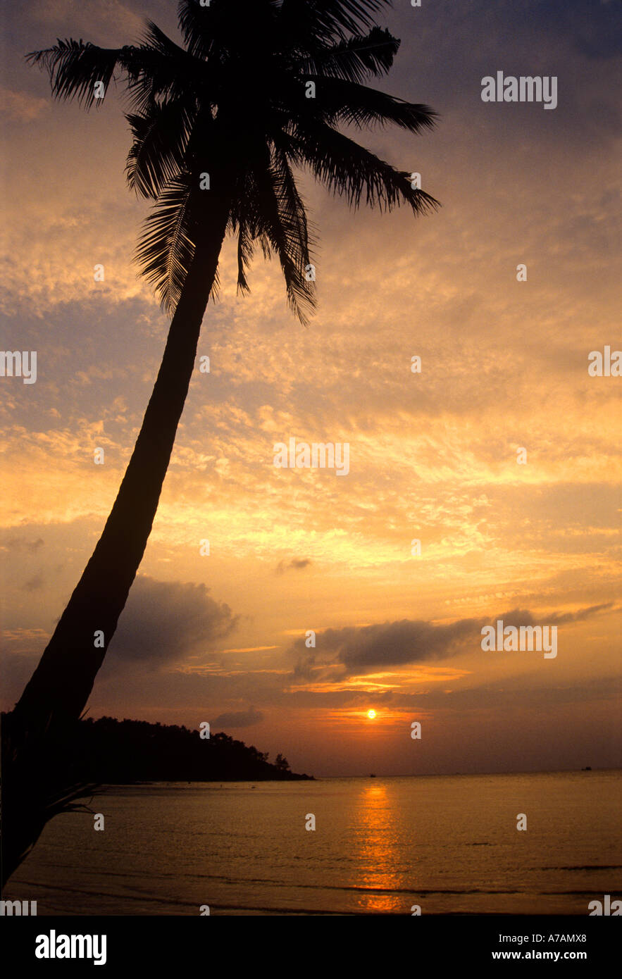 Coucher de soleil sur la plage tropicale silhouette of palm arbre en premier plan Banque D'Images