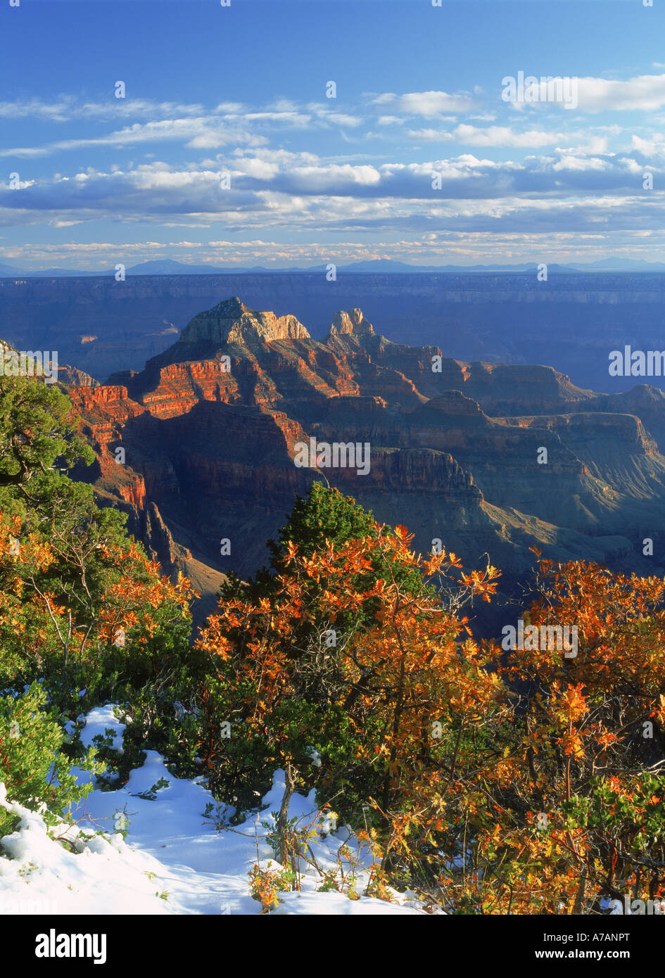 Le Parc National du Grand Canyon en Arizona de Bright Angel Point sur North Rim Banque D'Images