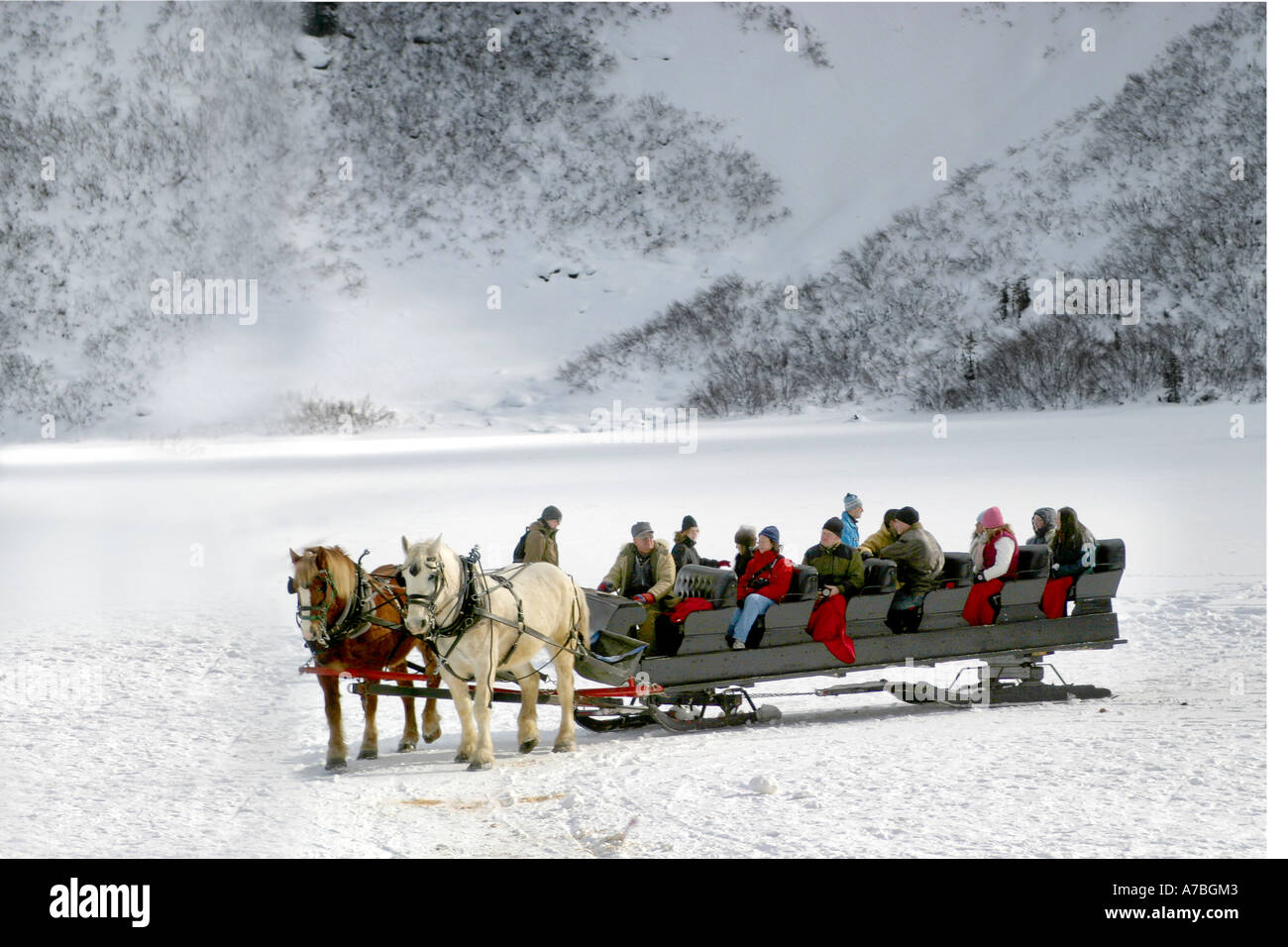 Balades en traîneau à cheval Banque D'Images