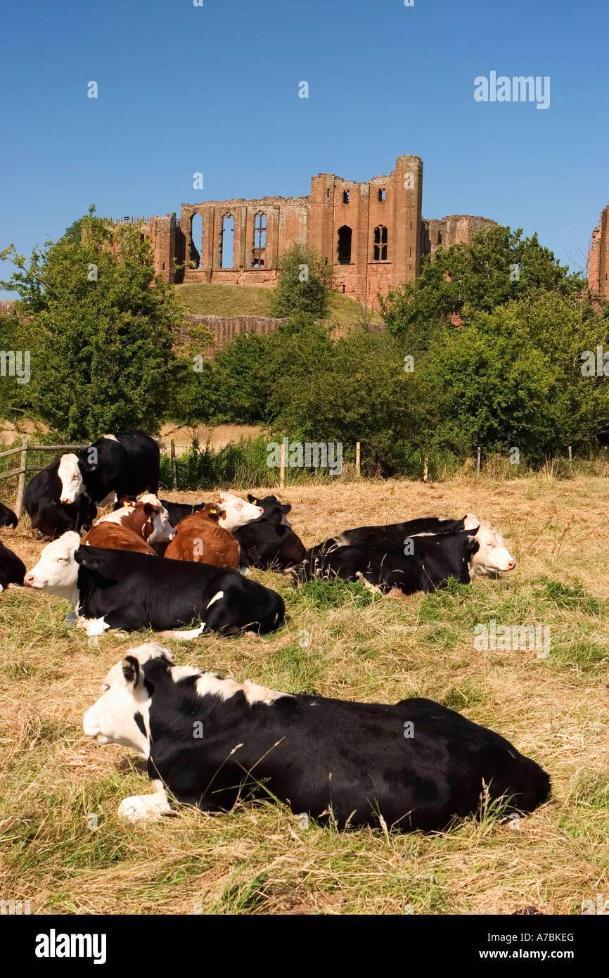 Le château de Kenilworth Kenilworth UK Juin 2005 Banque D'Images