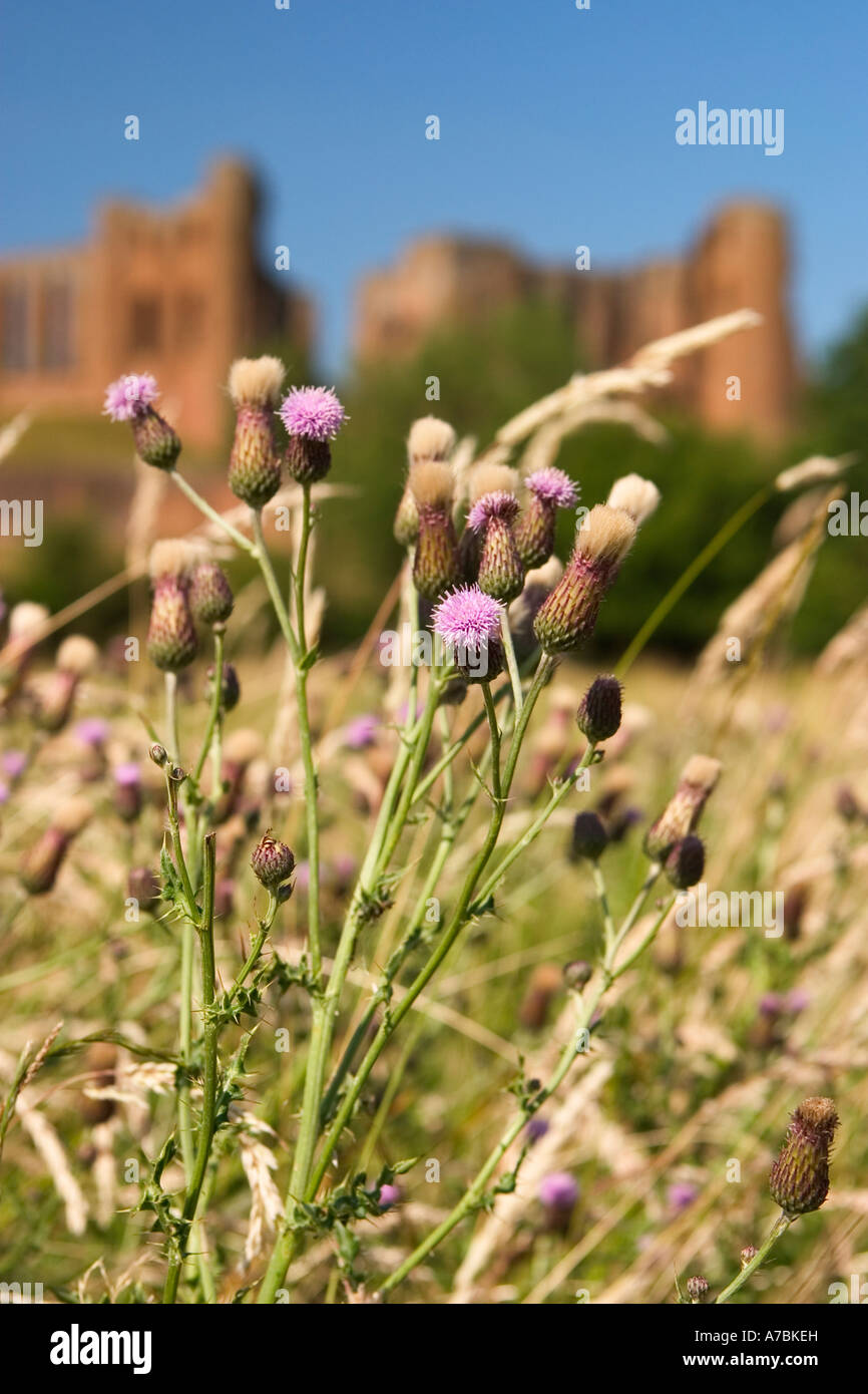 Le château de Kenilworth Kenilworth UK Juin 2005 Banque D'Images