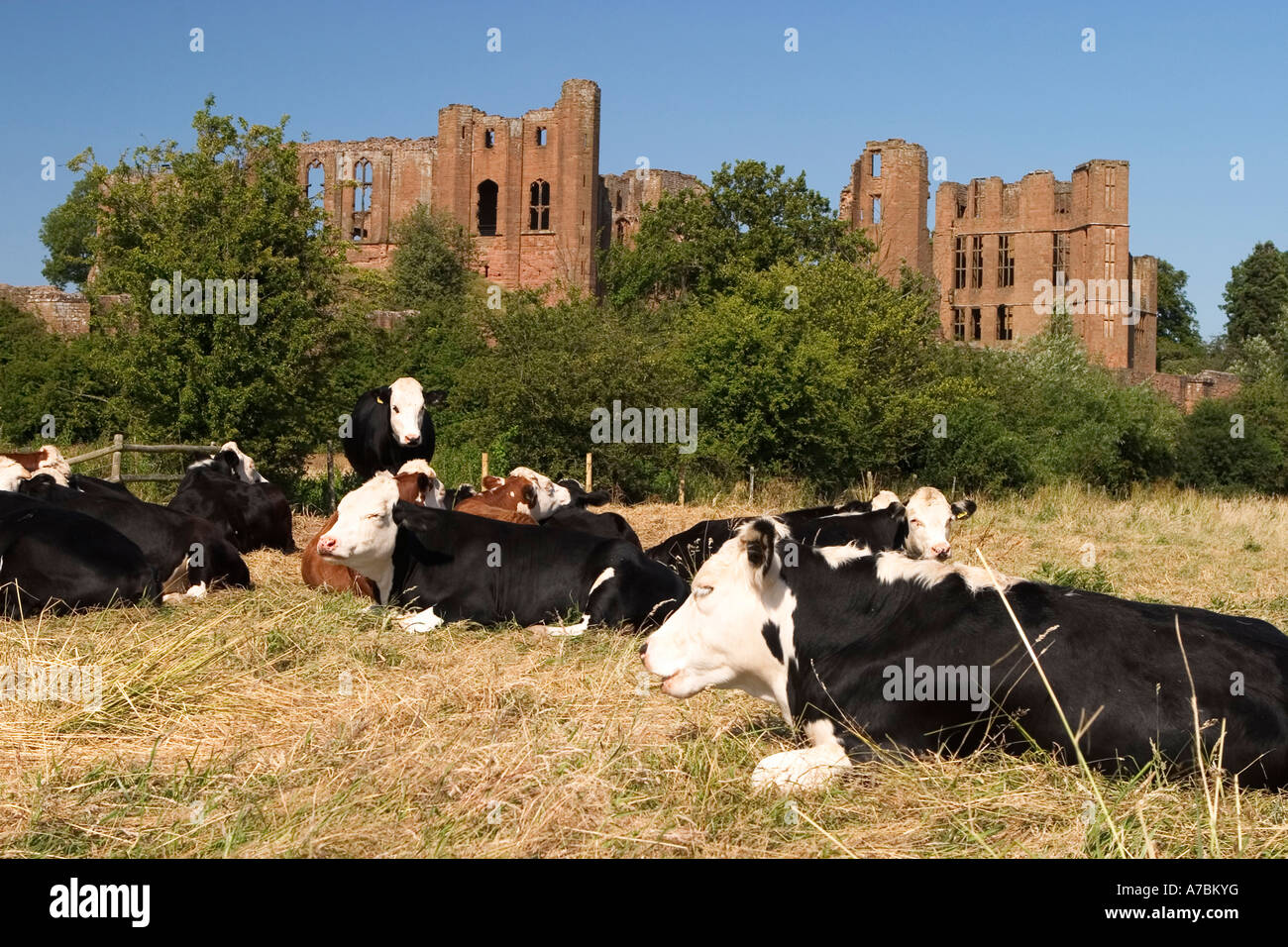 Le château de Kenilworth Kenilworth UK Juin 2005 Banque D'Images