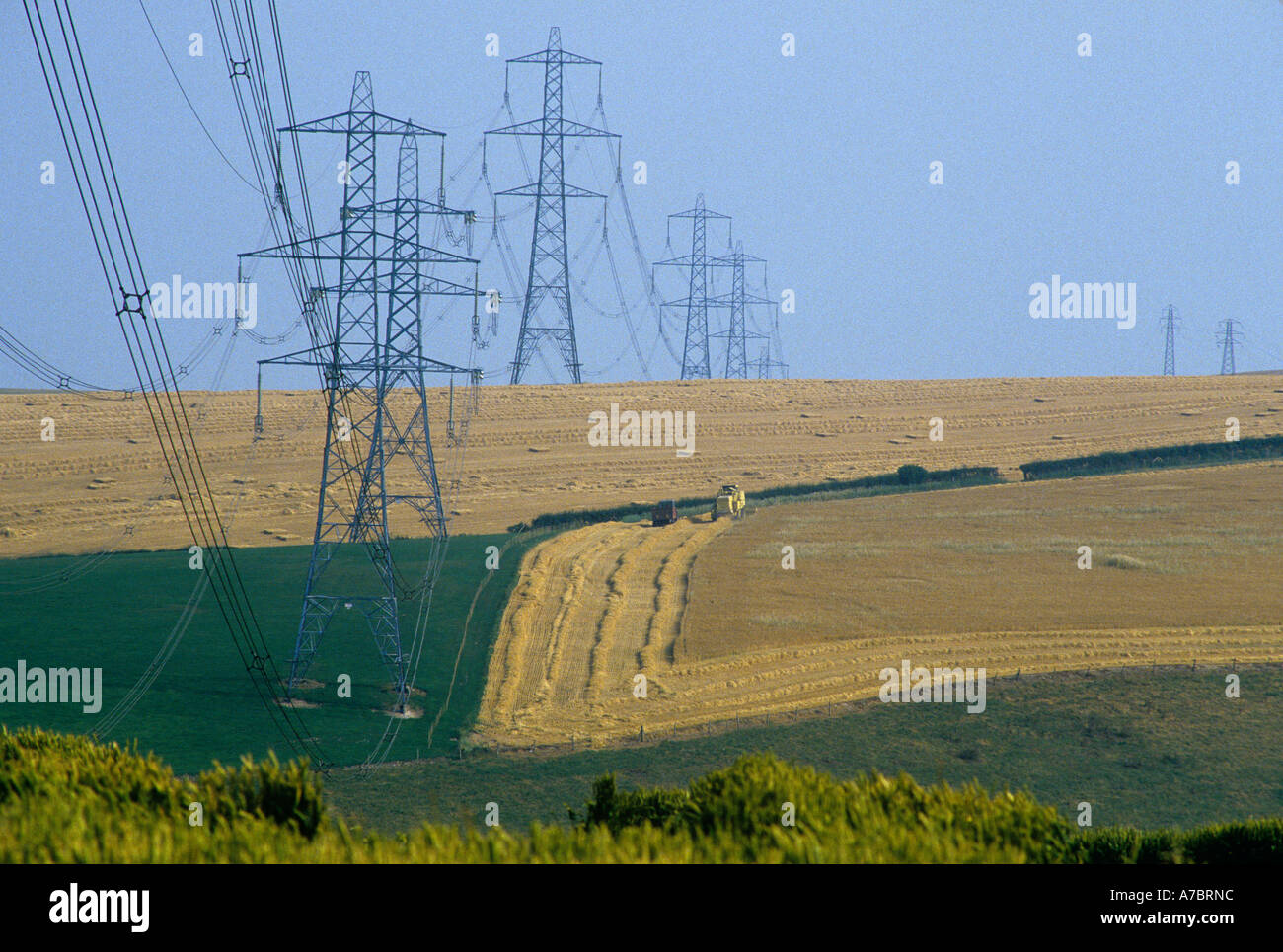 Lignes de transport d'électricité et les pylônes de plus de champs agricoles dans le Dorset en Angleterre Banque D'Images