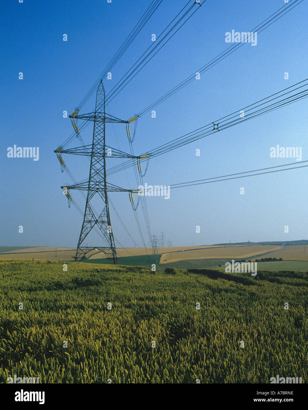 Lignes de transport d'électricité et les pylônes de plus de champs agricoles dans le Dorset Banque D'Images