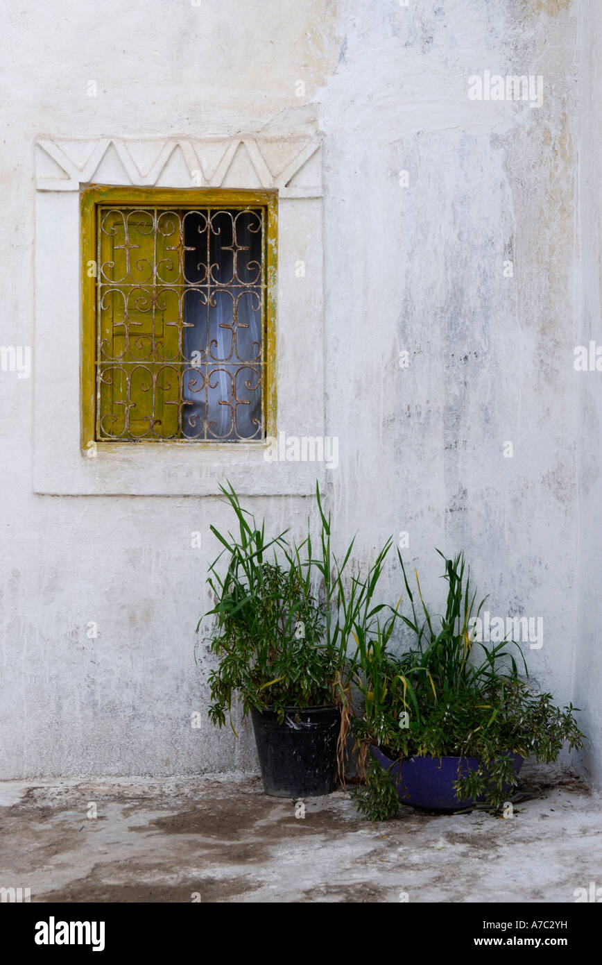 Fenêtre et cache-pots Afensou Maroc Banque D'Images