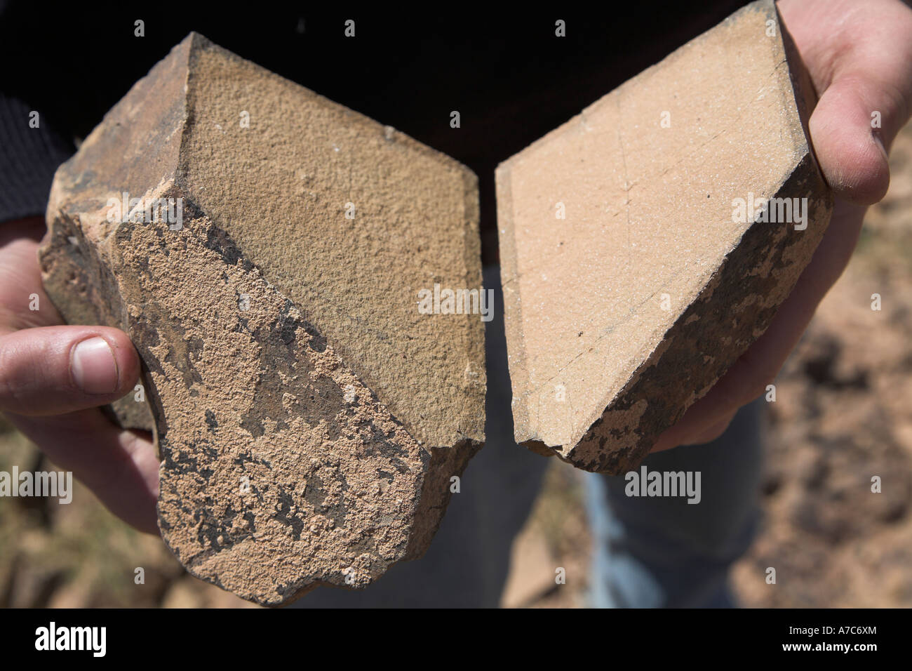 Stone brisé en deux par l'altération du désert qui a eu lieu entre les mains d'une personne dans un désert du Sahara Maroc Banque D'Images