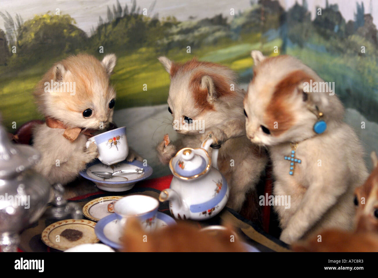 Un détail de chatons Tea Party, partie d'une collection d'animaux naturalisés par taxidermiste victorien Walter Potter. Banque D'Images