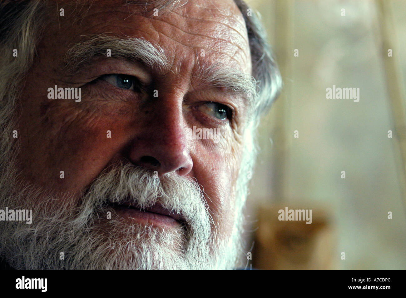 Vieil homme avec barbe ©Robin Nelson Banque D'Images