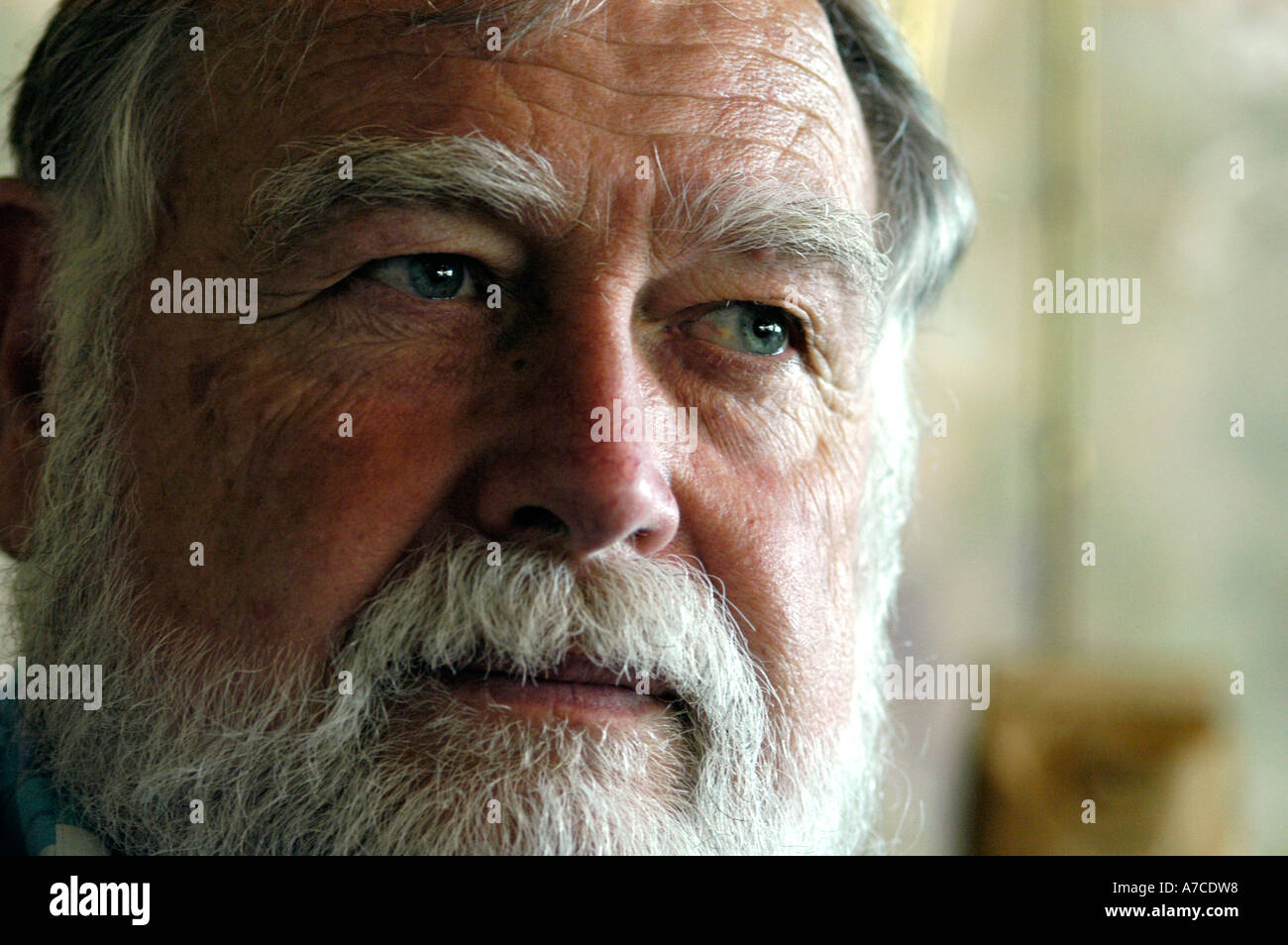 Vieil homme avec barbe ©Robin Nelson Banque D'Images