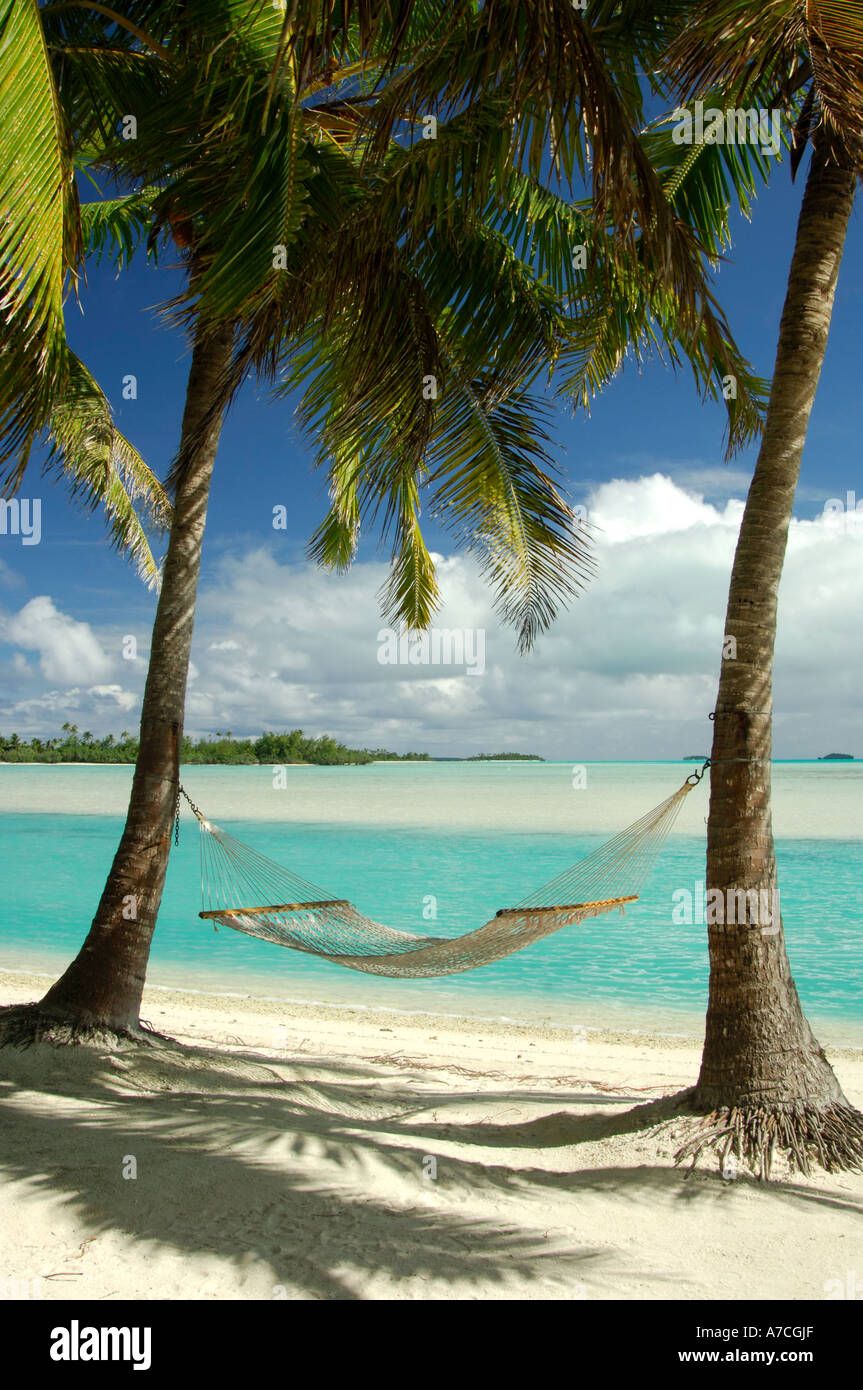 Hamac suspendu entre deux palmiers à côté d'Aitutaki Lagoon Cook Islands  Photo Stock - Alamy