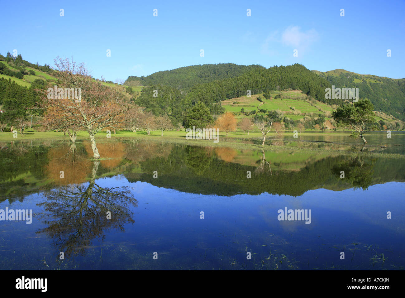 Sete Cidades lacs, Açores, Portugal Banque D'Images