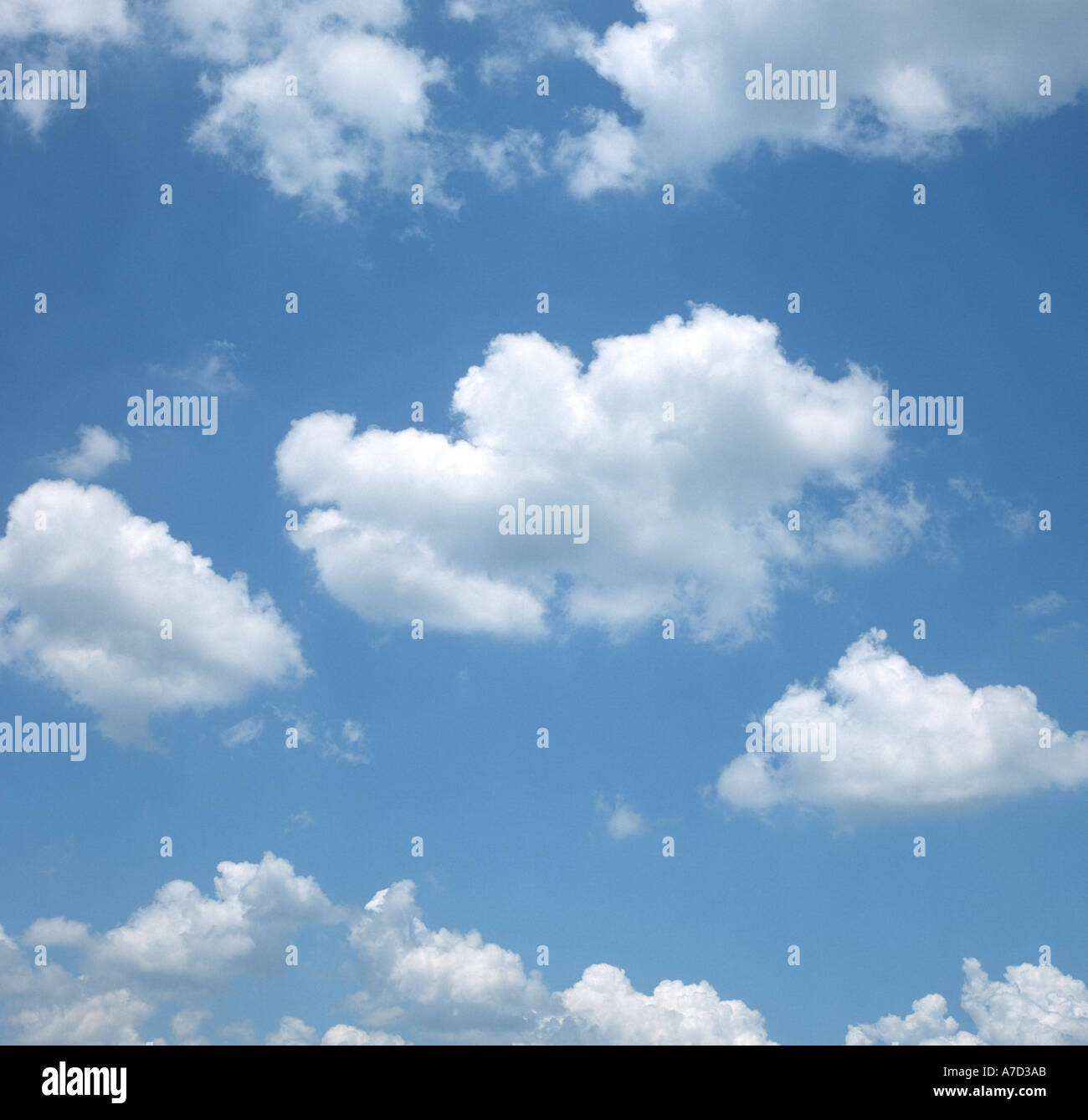 Les cumulus dans le ciel bleu Banque D'Images