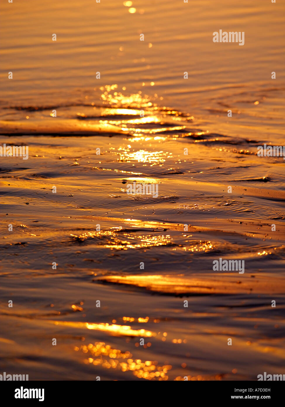 Plage de Golden Sands au coucher du soleil Banque D'Images