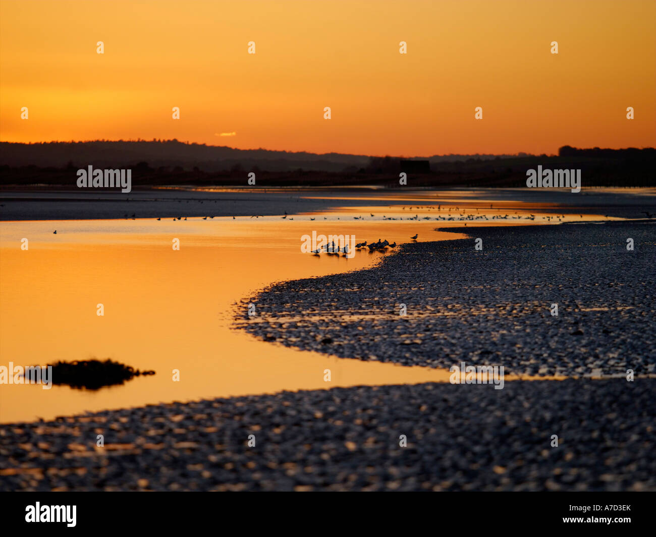Plage au coucher du soleil de Camber Banque D'Images