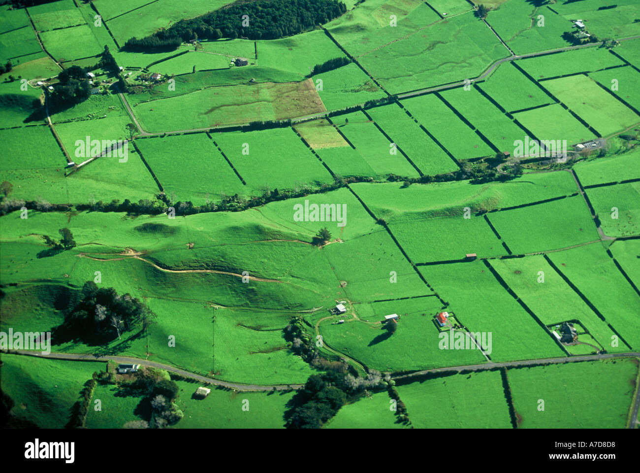 Les fermes laitières de l'antenne de Nouvelle-zélande Taranaki Banque D'Images