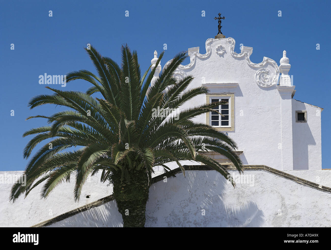 Église d'Albufeira et de palmier, de l'Algarve, Portugal Banque D'Images