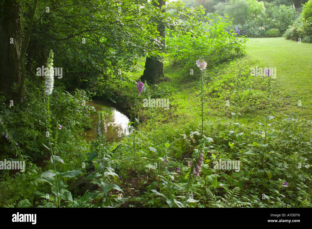 L'ancien Cornmill Herefordshire UK Jill Hunter Valley jardin informel avec des zones sauvages au printemps et en été Banque D'Images