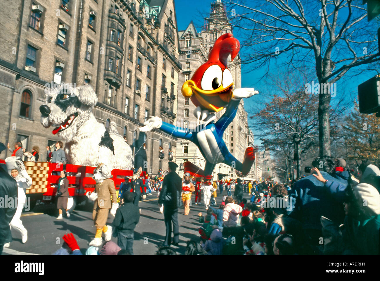 New York, NY, États-Unis d'événements publics, Woody Woodpecker ballon géant  le caractère 'Macy's Thanksgiving Day Parade' foule Photo Stock - Alamy