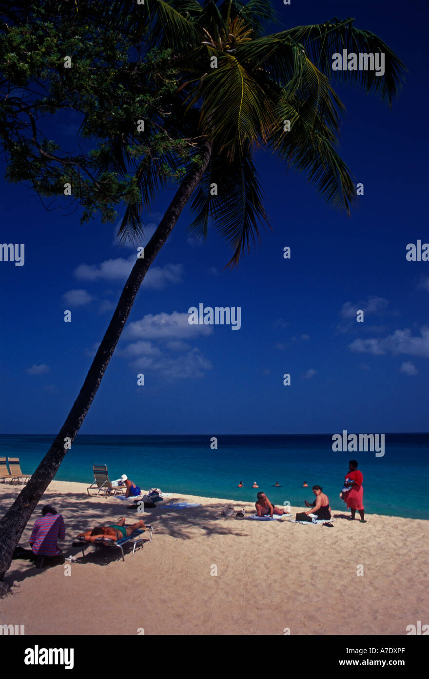 Les gens, les touristes, la plage, plage de Grand'anse, baie de Grand'Anse, La Grenade, dans les Antilles Banque D'Images