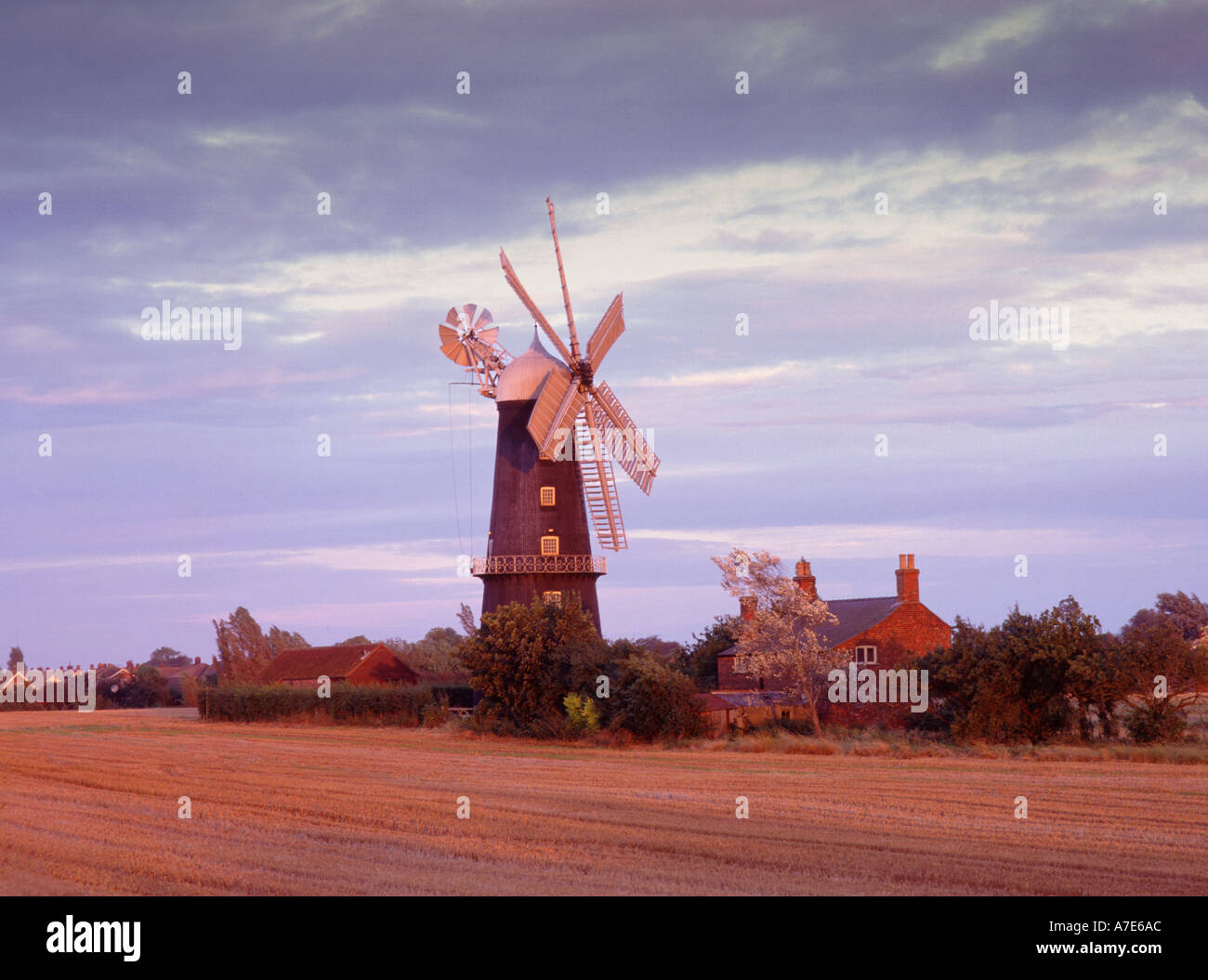 Négociant Sibsey Windmill Sibsey Fens Lincolnshire England UK Banque D'Images