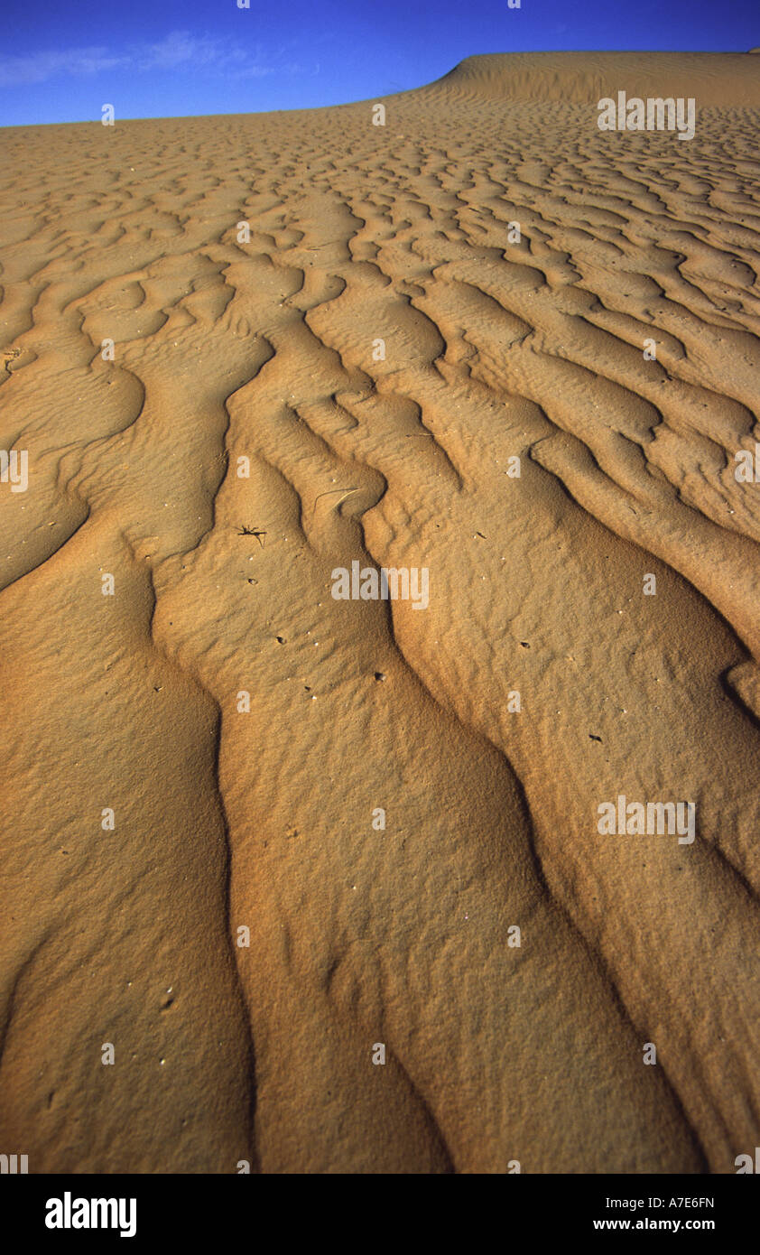 Désert du Sahara, de la Mauritanie, l'Afrique de l'Ouest Banque D'Images