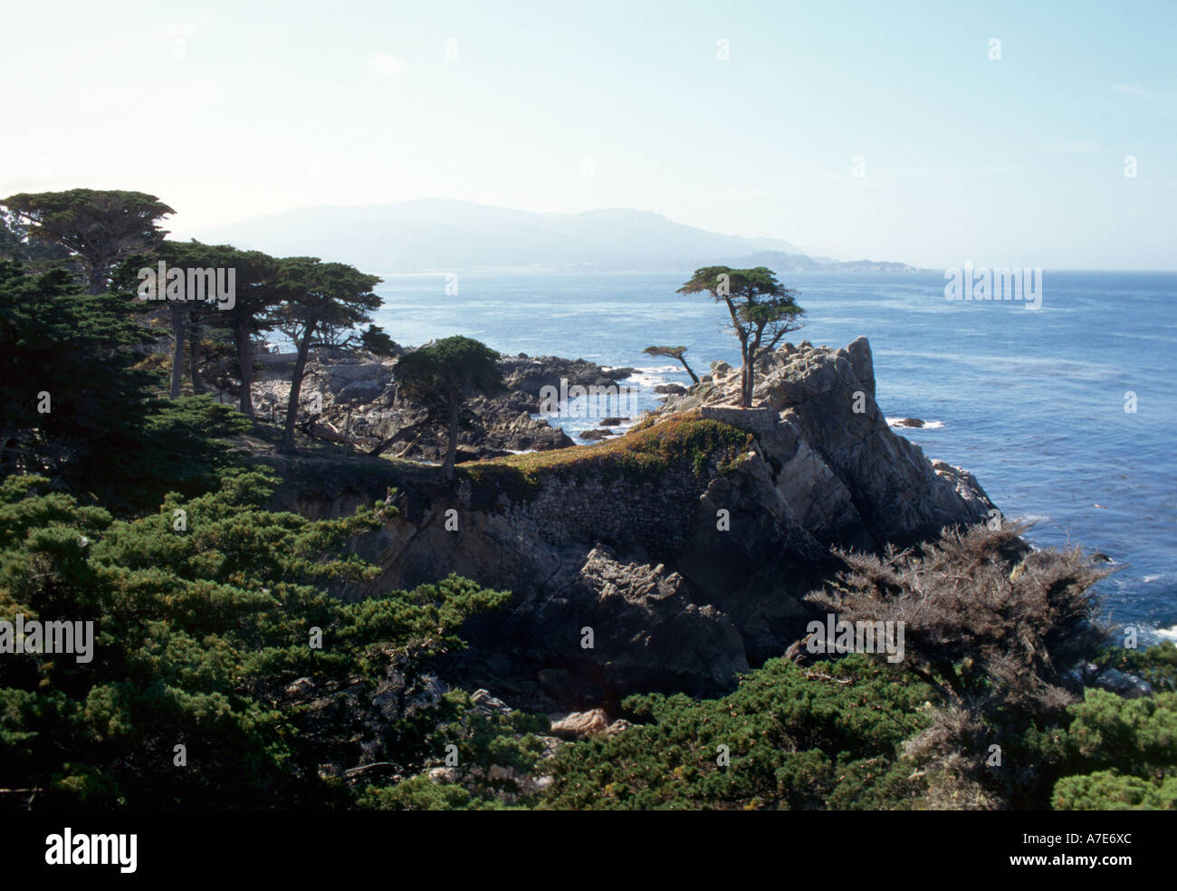 Le Lone Cypress, 17 Mile Drive, plage de galets, Monterey, Côte Nord, Californie, USA Banque D'Images