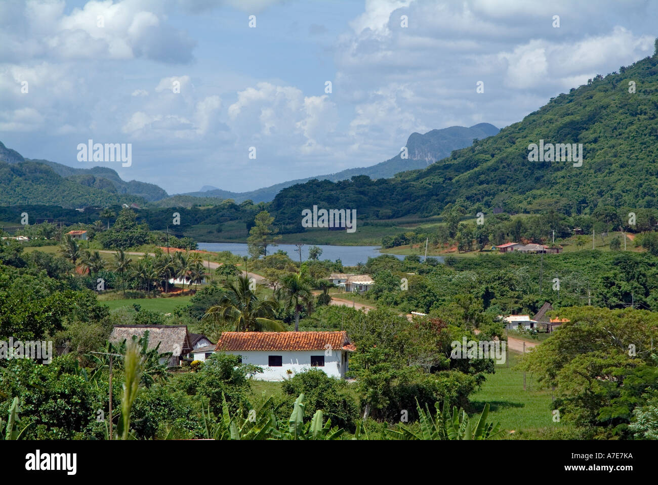 Cuba - paysage dans la vallée de Vinales, Cuba Banque D'Images