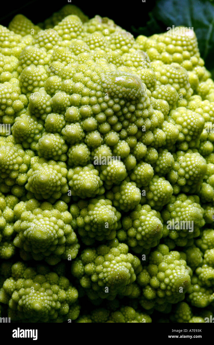 Légume Fractal Banque D'Images